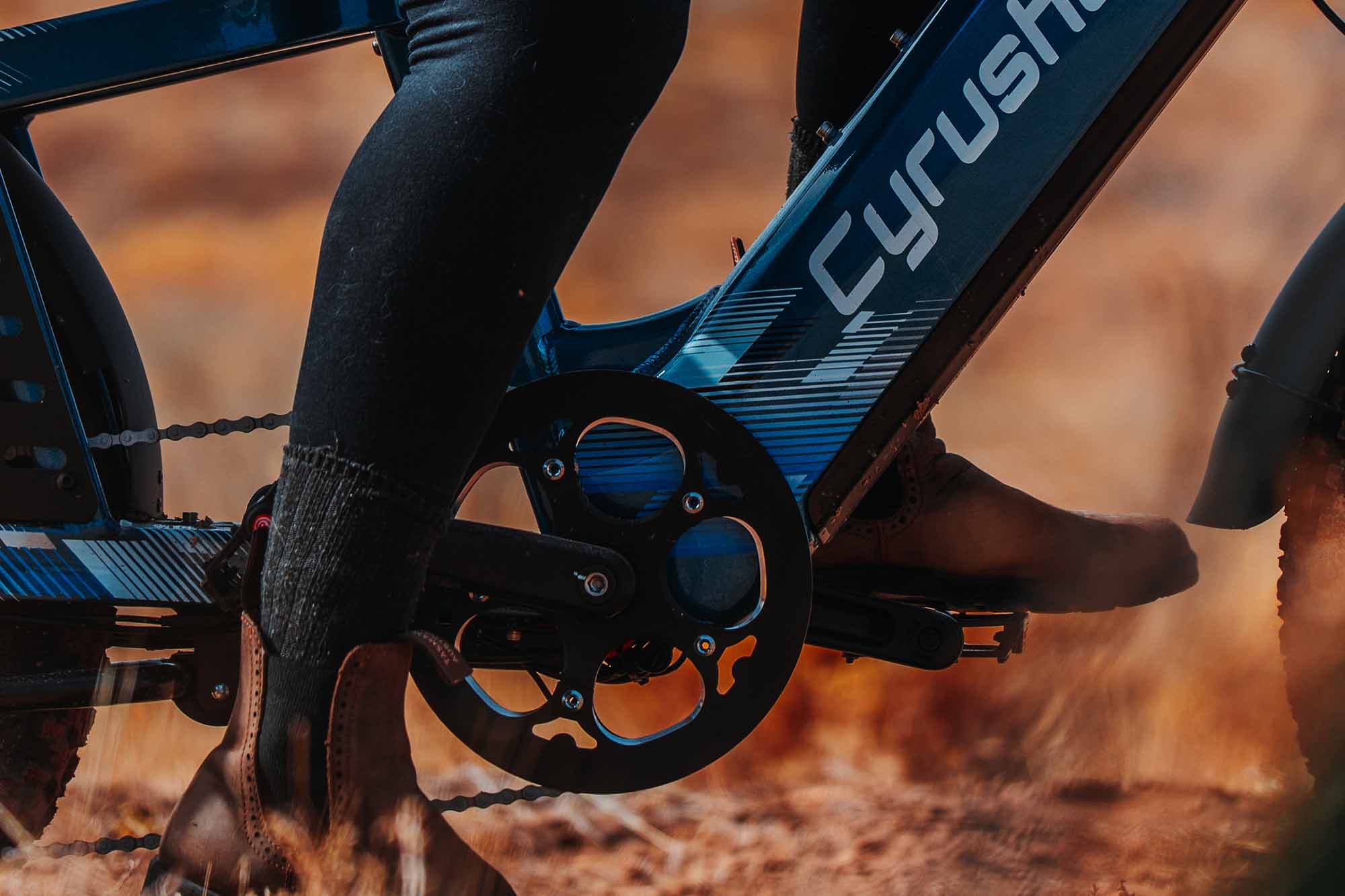 Cyrusher Glider component detail 13